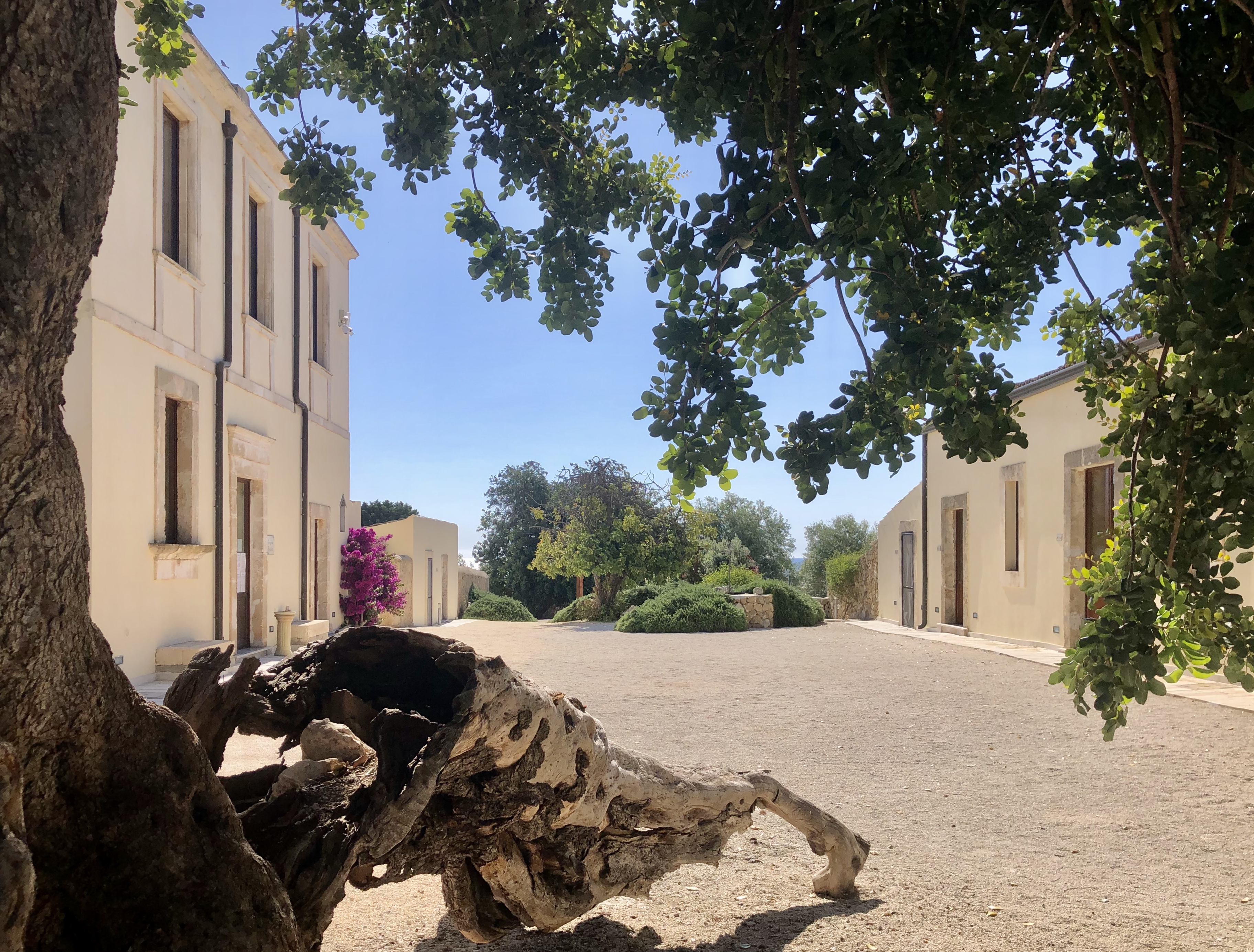 Pantanelli di vendicari